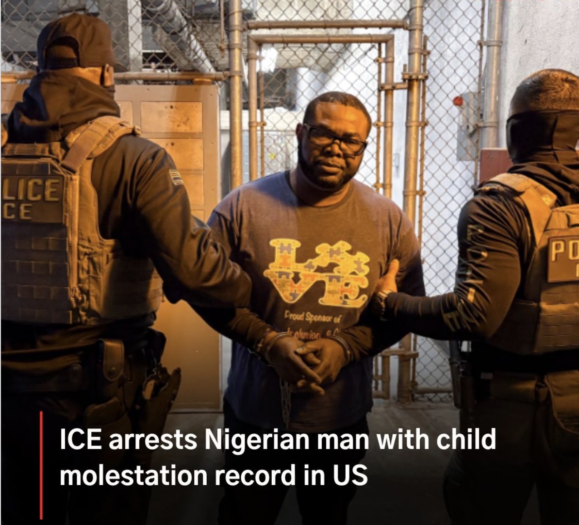 Olatunde Olusanjo — ICE Arrest
